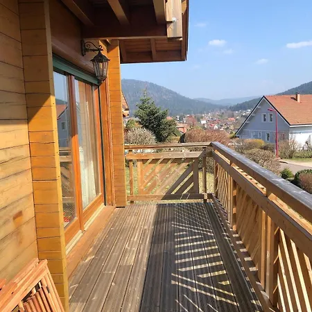 Des Musiciens - Gerardmer, Vue Montagne
