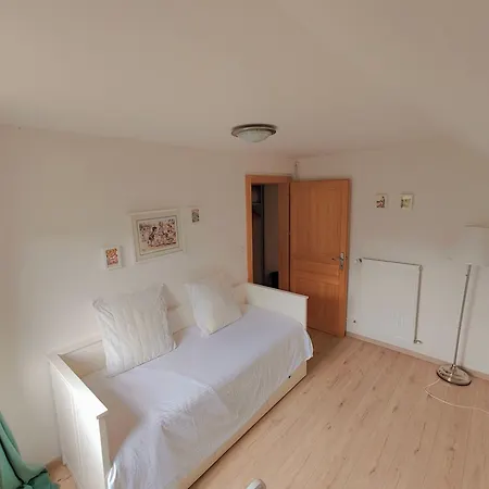 Chalet Des Musiciens - Gerardmer, Vue Montagne Gérardmer