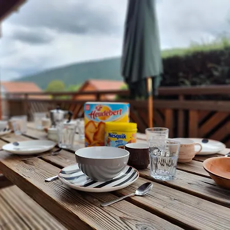 Des Musiciens - Gerardmer, Vue Montagne Chalet *