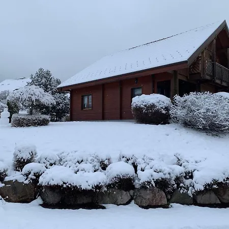 Des Musiciens - Gerardmer, Vue Montagne *