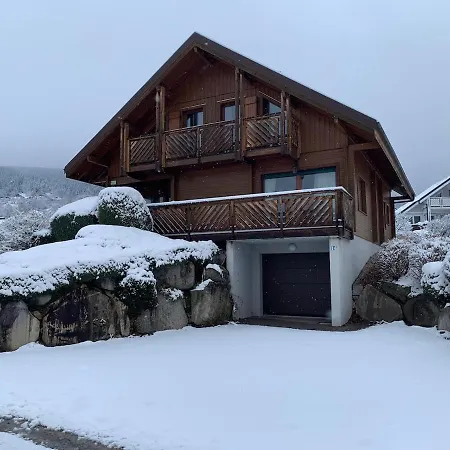 Des Musiciens - Gerardmer, Vue Montagne *